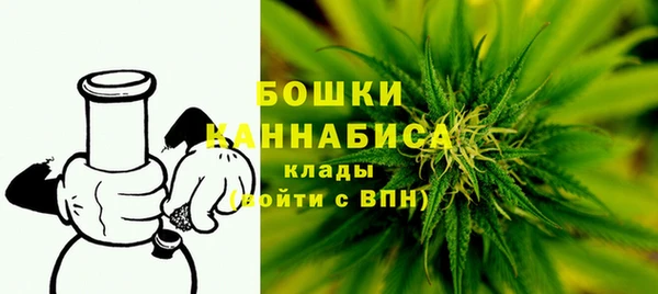 гашик Арсеньев