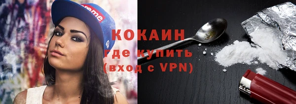 шишки Приозерск