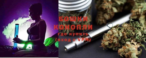 гашик Арсеньев