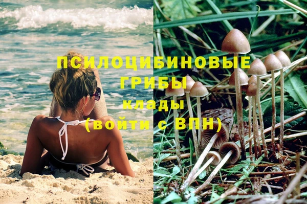 дурь Аркадак