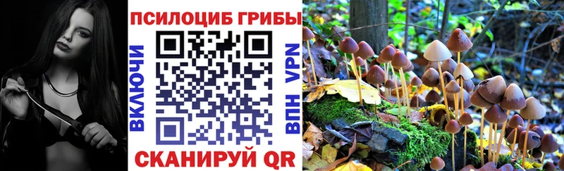 Галлюциногенные грибы Psilocybe  где найти   Артёмовский 